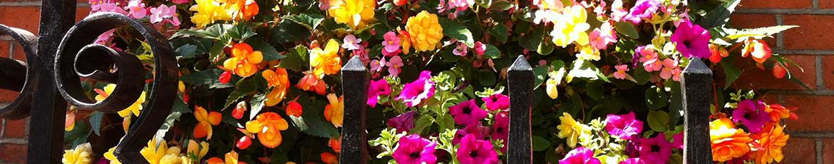 Install and Maintain Flower Beds